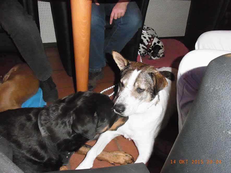 - Nein, ich sag's nicht weiter.jpg (886 x 665)